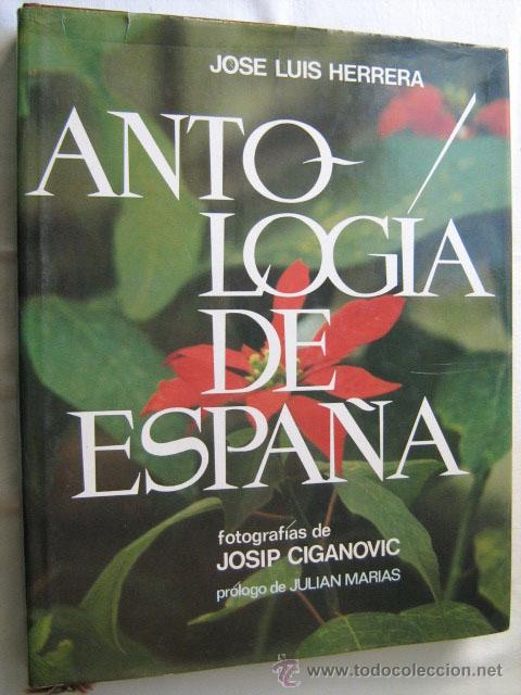 Libros de segunda mano: ANTOLOG&Iacute;A DE ESPA&Ntilde;A.  HERRERA, Jos&eacute; Luis. 1982 C&iacute;rculo de lectores - Foto 1