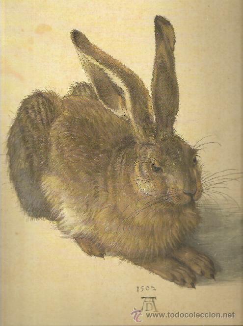 Libros de segunda mano: DURERO / OBRAS MAESTRAS DE LA ALBERTINA .EXPOSICI&Oacute;N MUSEO DEL PRADO , 2005 - Foto 1