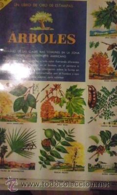 Libros de segunda mano: &Aacute;RBOLES (M&eacute;xico 1962) Un Libro de Oro de Estampas. Album - Foto 1