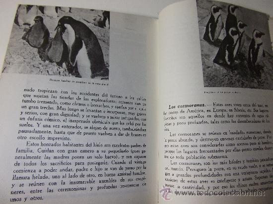 Libros de segunda mano: EL MAR EN LA NATURALEZA 1965 - Foto 5
