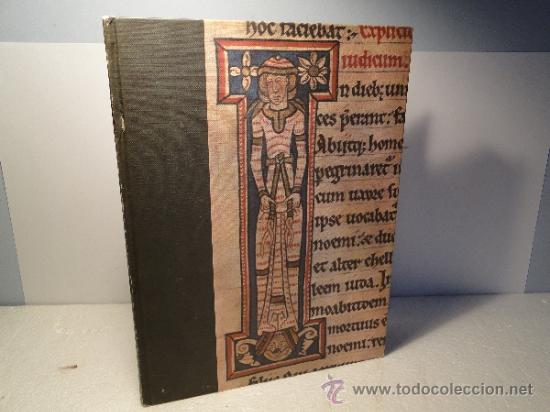 Libros de segunda mano: LA BIBLIA EN LOS CODICES DE ESPA&Ntilde;A--PILAR DE MIGUEL - Foto 1