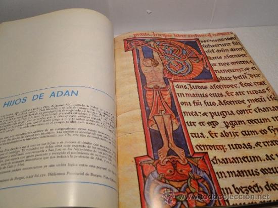Libros de segunda mano: LA BIBLIA EN LOS CODICES DE ESPA&Ntilde;A--PILAR DE MIGUEL - Foto 2