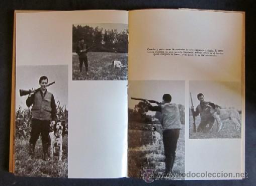 Libros de segunda mano: EL SETTER - Foto 5