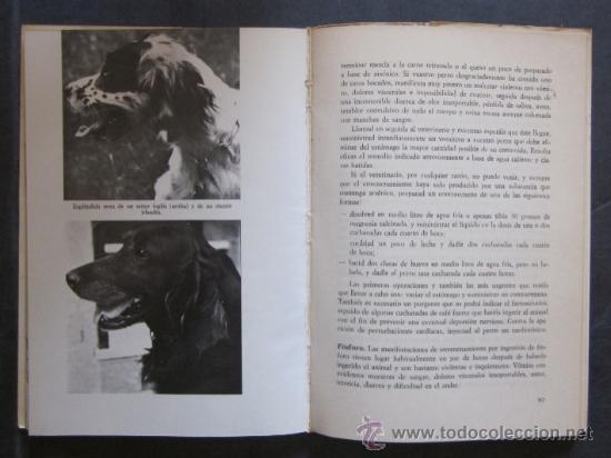 Libros de segunda mano: EL SETTER - Foto 6