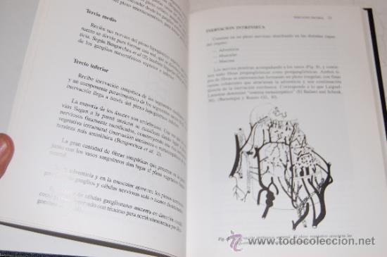 Libros de segunda mano: Conceptos b&aacute;sicos de din&aacute;mica uretral. JES&Uacute;S SALINAS  RM57498 - Foto 2
