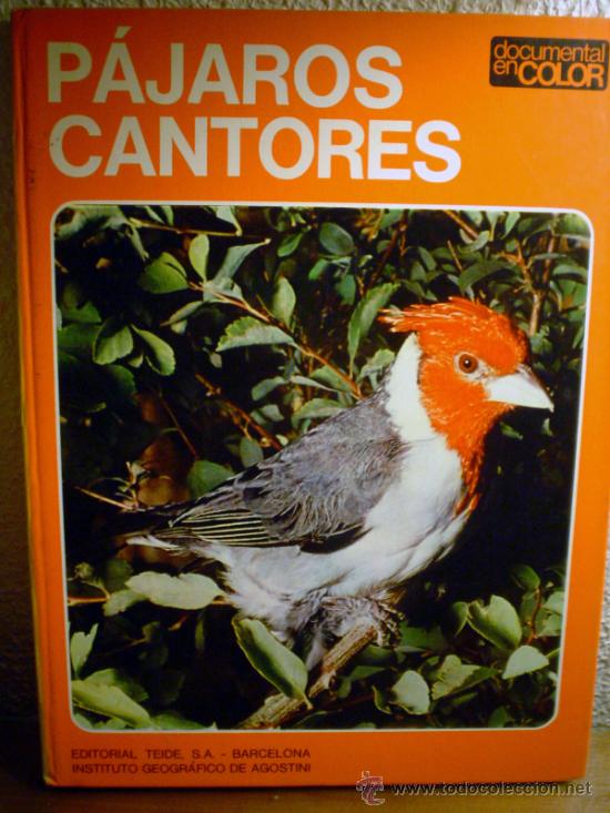 Libros de segunda mano: PAJAROS CANTORES. - Foto 1