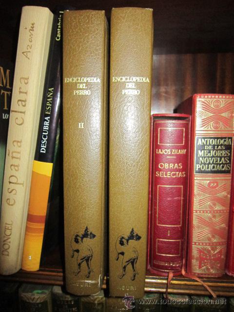 Libros de segunda mano: ENCICLOPEDIA DEL PERRO. Urmo S.A. Ediciones. 1978. - Foto 1