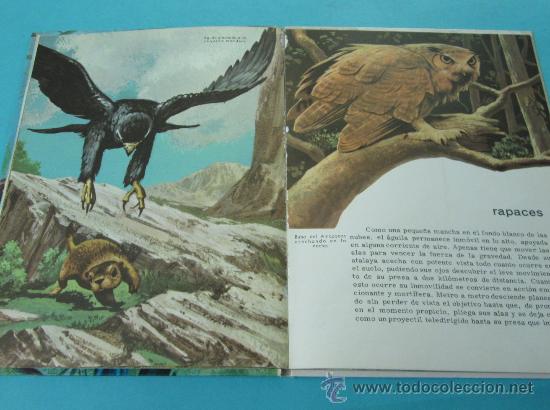 Libros de segunda mano: CONOCE LAS AVES. COLECCI&Oacute;N LIBROS CULTURALES - Foto 2