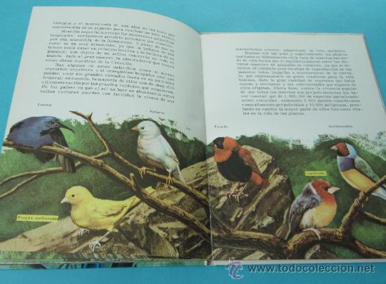 Libros de segunda mano: CONOCE LAS AVES. COLECCI&Oacute;N LIBROS CULTURALES - Foto 4