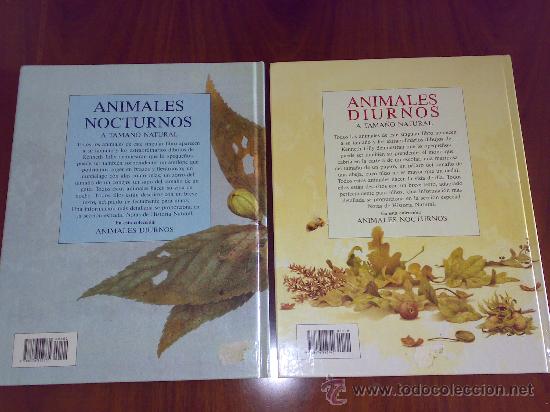 Animales Diurnos Y Nocturnos A Tamano Natural Sold Through Direct Sale 31404255