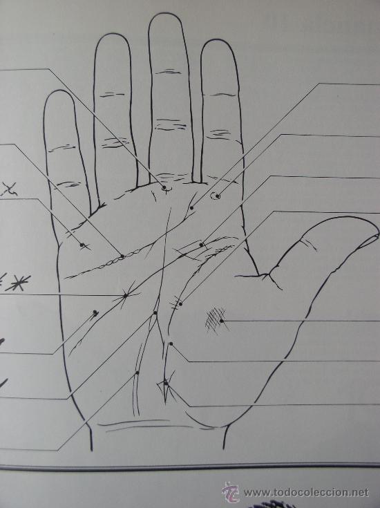 Libros de segunda mano: EL LIBRO DE LAS PREDICCIONES. FOLIO. - Foto 2