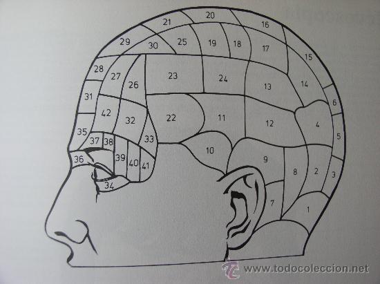 Libros de segunda mano: EL LIBRO DE LAS PREDICCIONES. FOLIO. - Foto 5