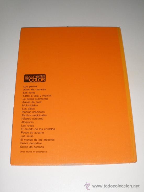 Libros de segunda mano: LAS SETAS - DOCUMENTAL EN COLOR - EDITORIAL TEIDE - INST. GEOGRAFICO DE AGOSTINI 1973 - Foto 2
