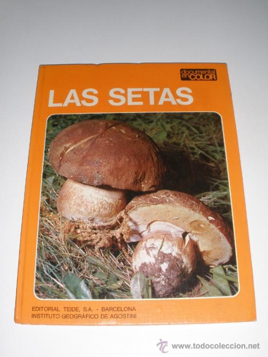 Libros de segunda mano: LAS SETAS - DOCUMENTAL EN COLOR - EDITORIAL TEIDE - INST. GEOGRAFICO DE AGOSTINI 1973 - Foto 1