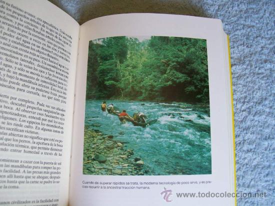 Libros de segunda mano: Explorador, Douchan Gersi, Ed. Mart&iacute;nez Roca, (Paraciencias C12) - Foto 2