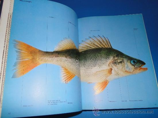 Libros de segunda mano: EL GRAN LIBRO DE LA PESCA (2 TOMOS.-OBRA COMPLETA) . - Foto 3