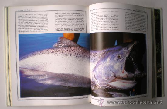 Libros de segunda mano: EL GRAN LIBRO DE LA PESCA Y SUS TECNICAS. - Foto 3
