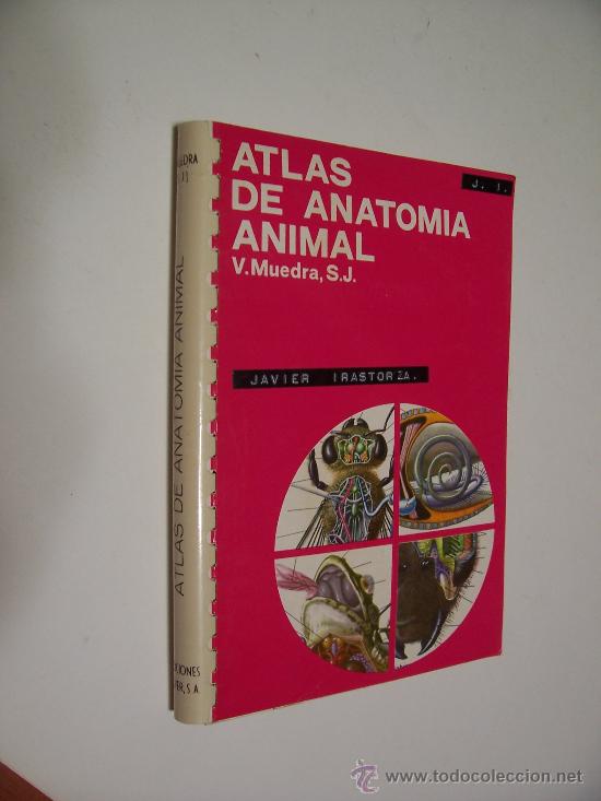 Libros de segunda mano: ATLAS DE ANATOMIA ANIMAL - EDICIONES JOVER 1970 / ILUSTRADO - Foto 1