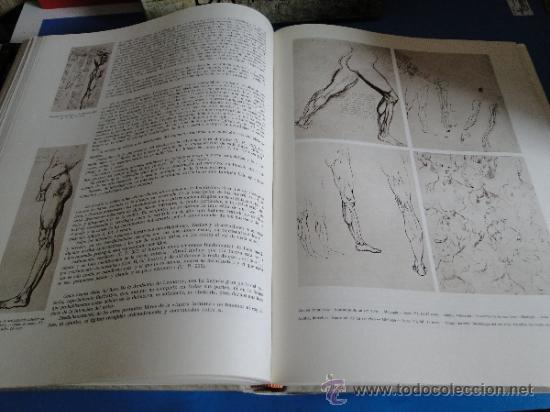 Libros de segunda mano: LEONARDO DA VINCI.-- (VINCI, Leonardo da) AA.VV .-2TOMOS,OBRA COMPLETA - Foto 6