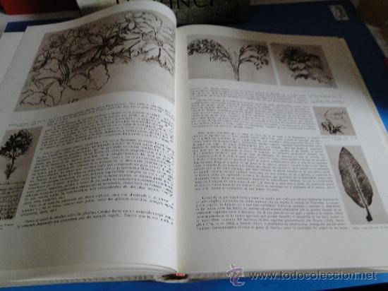 Libros de segunda mano: LEONARDO DA VINCI.-- (VINCI, Leonardo da) AA.VV .-2TOMOS,OBRA COMPLETA - Foto 3
