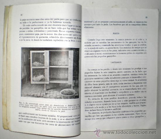 Libros de segunda mano: DIEZ TEMAS SOBRE EL CONEJO - VARIOS AUTORES. - Foto 2