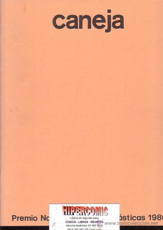 Libros de segunda mano: PREMIO NACIONAL DE ARTES PL&Aacute;STICAS 1980 / CANEJA - Foto 1