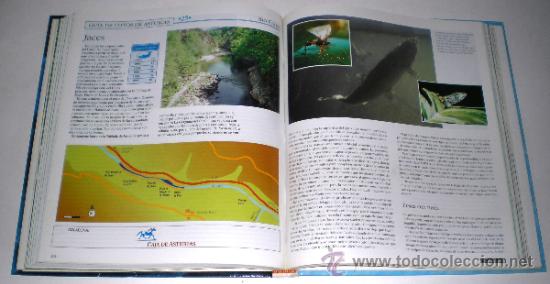 Libros de segunda mano: VARIOS AUTORES: EL GRAN LIBRO DE LA PESCA. - Foto 2