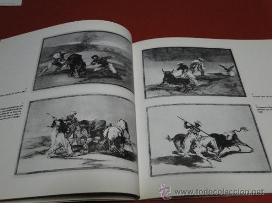 Libros de segunda mano: TAUROMAQUIA. GOYA. PICASSO. - Foto 2