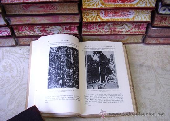 Libros de segunda mano: LAS RESINAS . Autor : Tomeo, Mariano - Foto 3