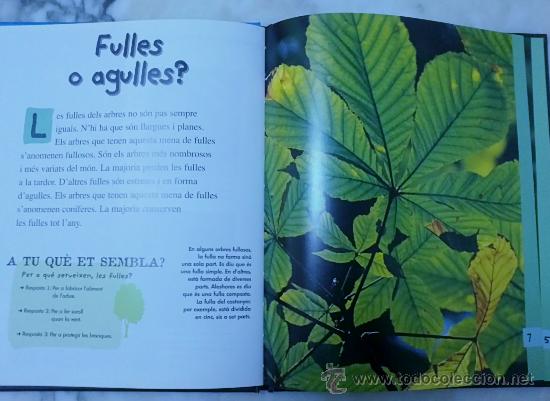 Libros de segunda mano: LARBRE - I TU, QUI ETS? - COMBEL - Foto 2