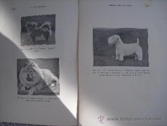 Libros de segunda mano: El perro de raza. Bommier, R. Dr. - Foto 2