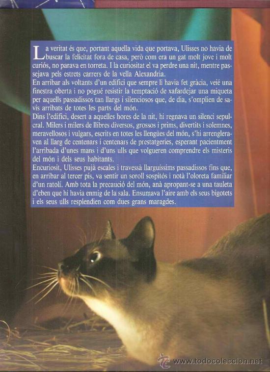 Libros de segunda mano: MISSES - JOSEP FRANCO - Foto 2