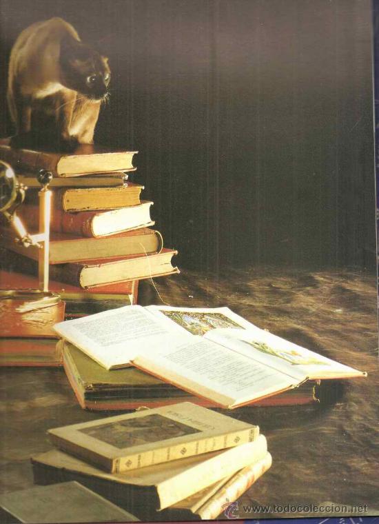 Libros de segunda mano: MISSES - JOSEP FRANCO - Foto 3