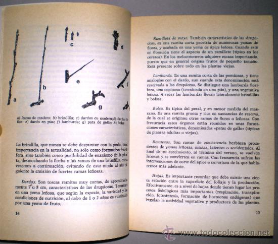 Libros de segunda mano: ROBERTO MIRAVALLE: EL LIBRO DE LA PODA. - Foto 2