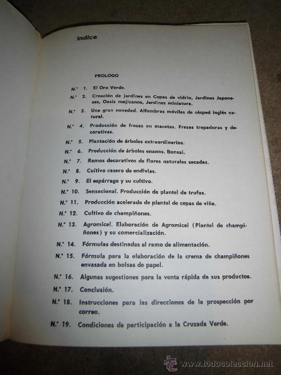 Libros de segunda mano: EL ORO VERDE A.J. ALBAS EDITOR EL PROPIO AUTOR 1974 - Foto 3
