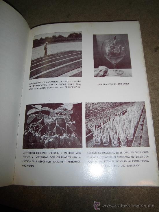 Libros de segunda mano: EL ORO VERDE A.J. ALBAS EDITOR EL PROPIO AUTOR 1974 - Foto 4
