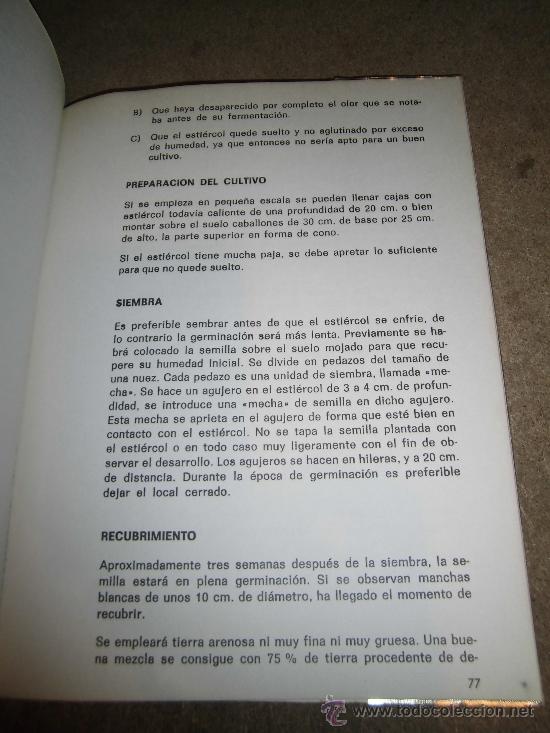 Libros de segunda mano: EL ORO VERDE A.J. ALBAS EDITOR EL PROPIO AUTOR 1974 - Foto 8