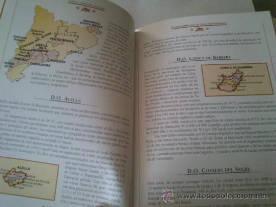 Libros de segunda mano: Cavas y Vinos de Catalu&ntilde;a de editorial susaeta. - Foto 4