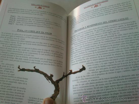 Libros de segunda mano: Cavas y Vinos de Catalu&ntilde;a de editorial susaeta. - Foto 5