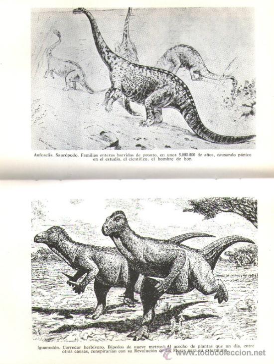 Libros de segunda mano: ILUSTRACIONES EN BLANCO Y NEGRO. - Foto 2