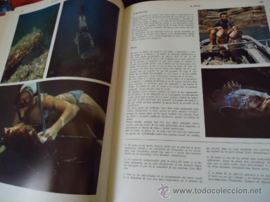 Libros de segunda mano: ENCICLOPEDIA DE LA PESCA - BERGARA 2 TOMOS - COMPLETO - 1967 - Foto 6