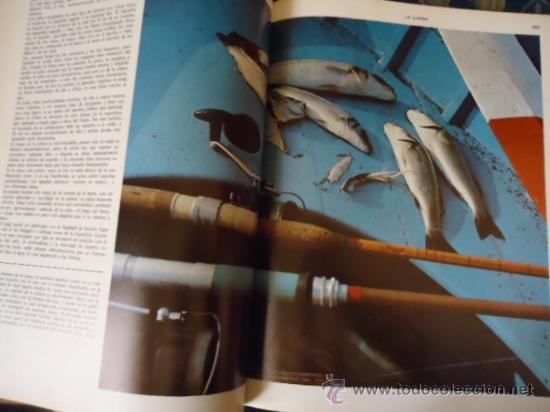 Libros de segunda mano: ENCICLOPEDIA DE LA PESCA - BERGARA 2 TOMOS - COMPLETO - 1967 - Foto 5