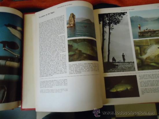 Libros de segunda mano: ENCICLOPEDIA DE LA PESCA - BERGARA 2 TOMOS - COMPLETO - 1967 - Foto 4