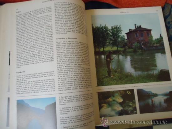 Libros de segunda mano: ENCICLOPEDIA DE LA PESCA - BERGARA 2 TOMOS - COMPLETO - 1967 - Foto 2