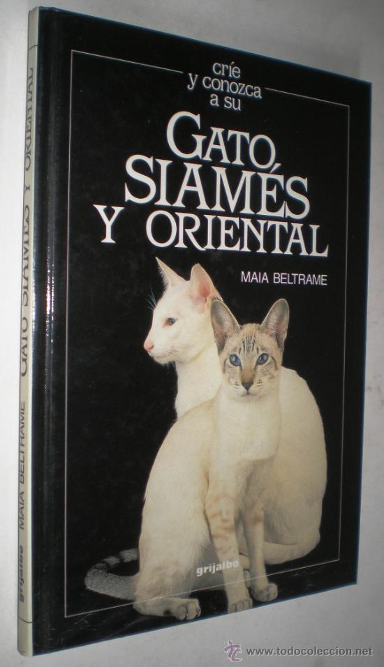 Libros de segunda mano: MAIA BELTRAME: CR&Iacute;E Y CONOZCA A SU GATO SIAM&Eacute;S Y ORIENTAL. - Foto 1