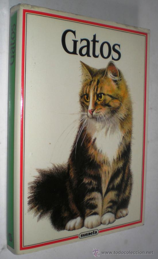 Libros de segunda mano: ALBERT PINTERA: GATOS. - Foto 1