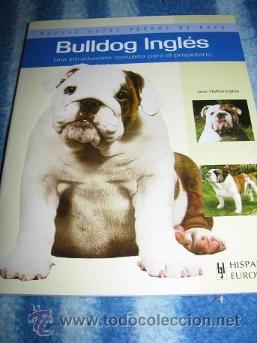 Bulldog Ingles Nuevas Guias Perros De Raza Buy Other Books Of Sciences Manuals And Trades At Todocoleccion 37223910