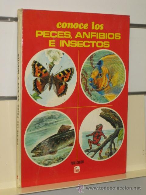 Libros de segunda mano: CONOCE LOS PECES ANFIBIOS E INSECTOS - FHER - Foto 1