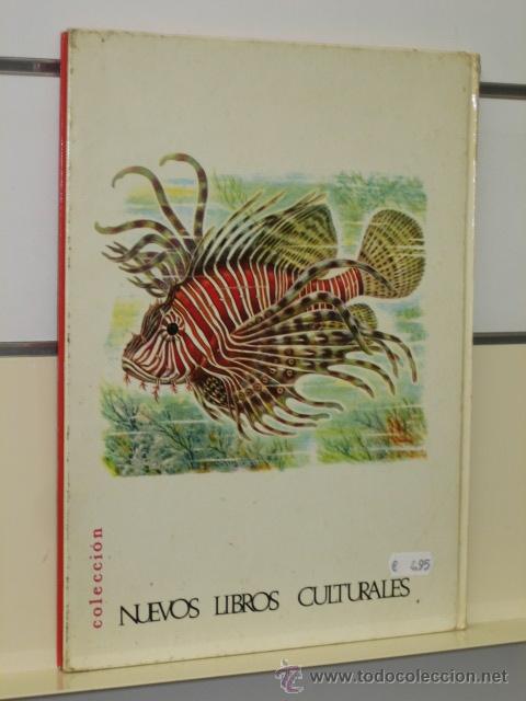 Libros de segunda mano: CONOCE LOS PECES ANFIBIOS E INSECTOS - FHER - Foto 4