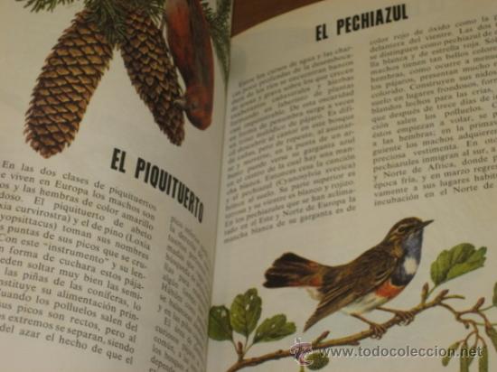 Libros de segunda mano: FAUNA - EDITORIAL FHER OFERTA - Foto 4